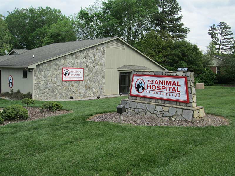 veterinary hospital in Cornelius